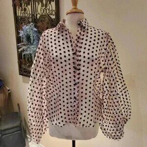 Beautiful organza polka dot balloon sleeve blouse